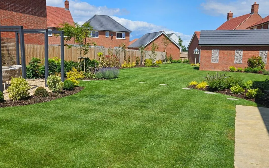 Hard work and skill from our team